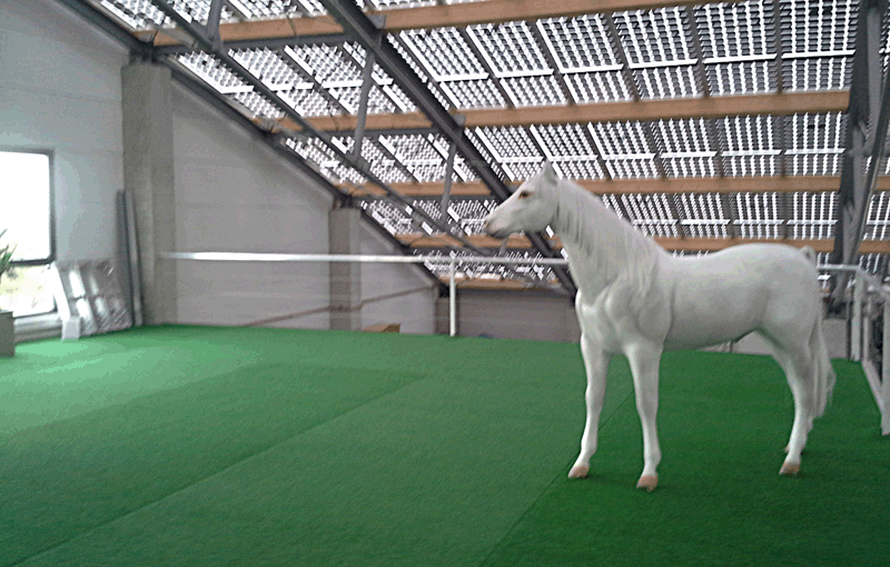 Pferd